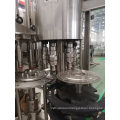 Turnkey Mineral Water Bottling Plant 12000bph (CGF24-24-8)